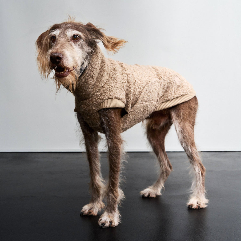 Cozy Gotland Dog Sweater in Sandy Brown