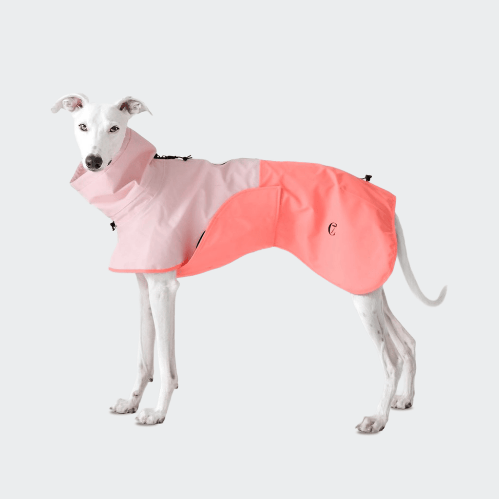AKTIV Peach & Neon Pink Dog Raincoat