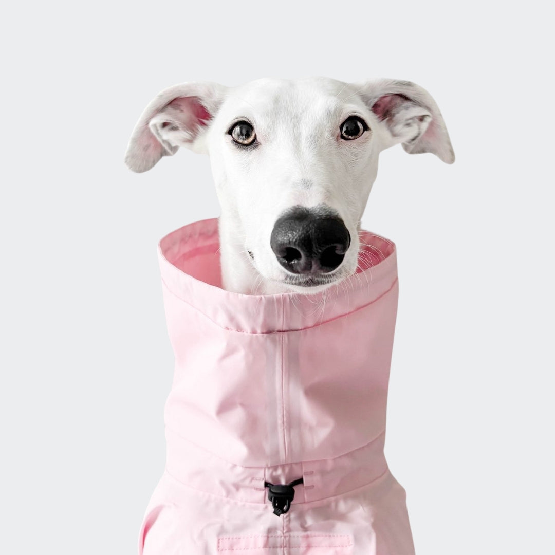 AKTIV Peach & Neon Pink Dog Raincoat