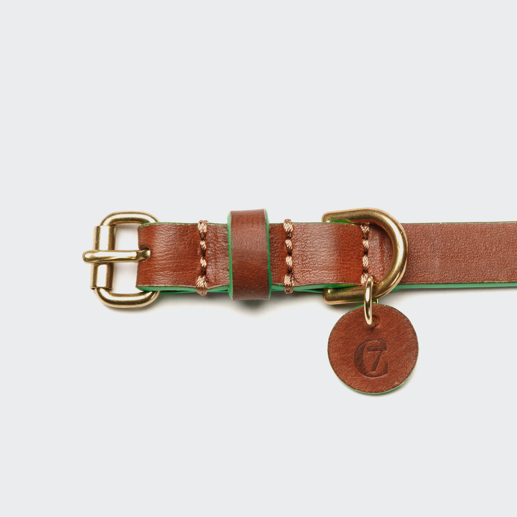 Prince Park Dog Collar - Cognac & Green