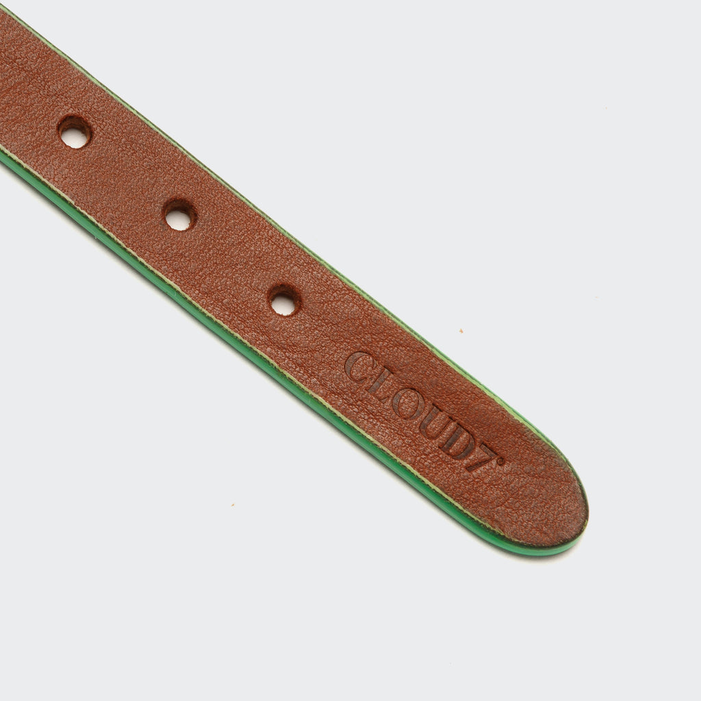 Prince Park Dog Collar - Cognac & Green