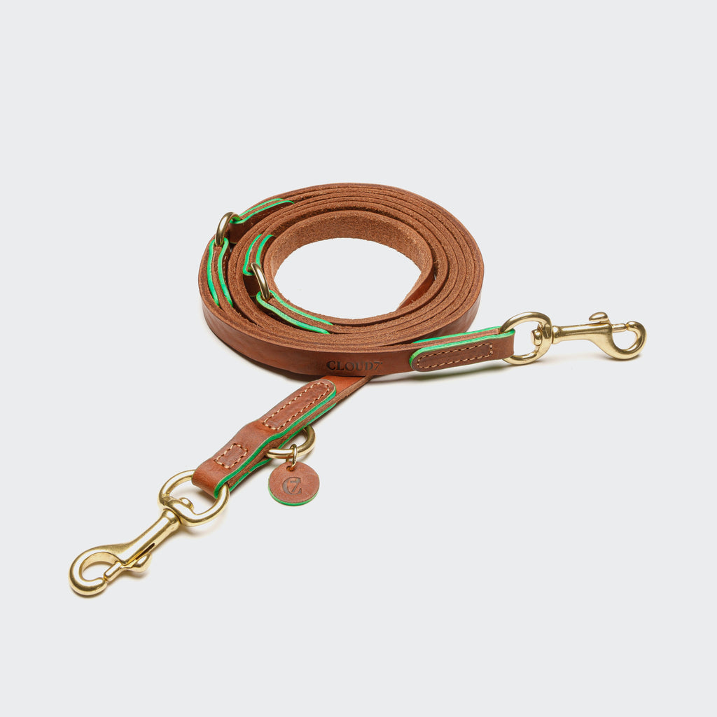 Prince Park Dog Leash in Cognac/Green