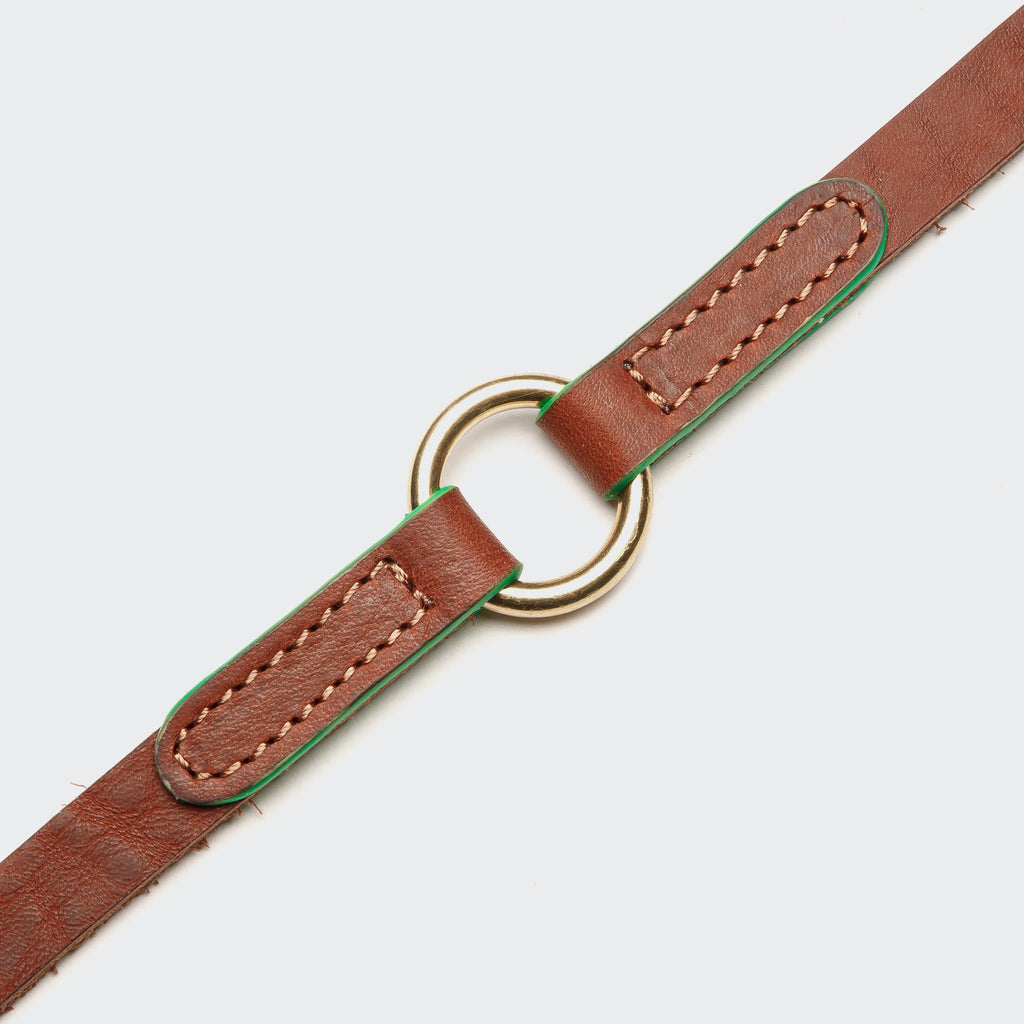 Prince Park Dog Leash in Cognac/Green