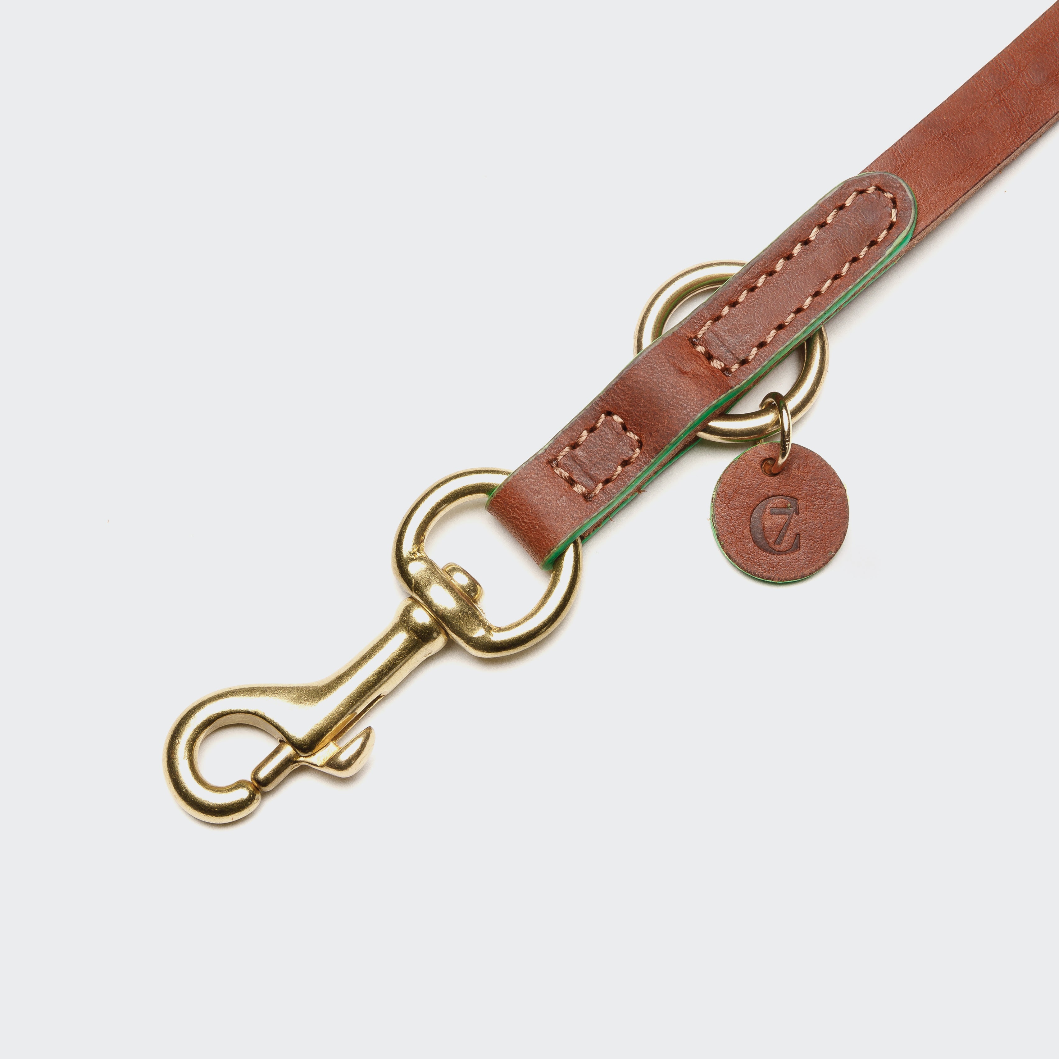Prince Park Dog Leash in Cognac/Green