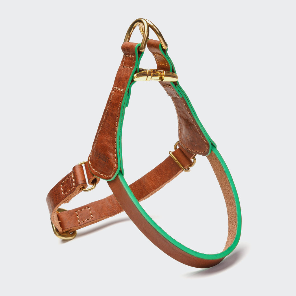 Prince Park Dog Harness - Cognac/Green