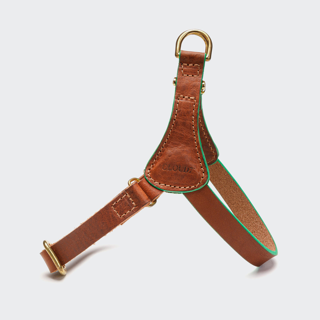 Prince Park Dog Harness - Cognac/Green
