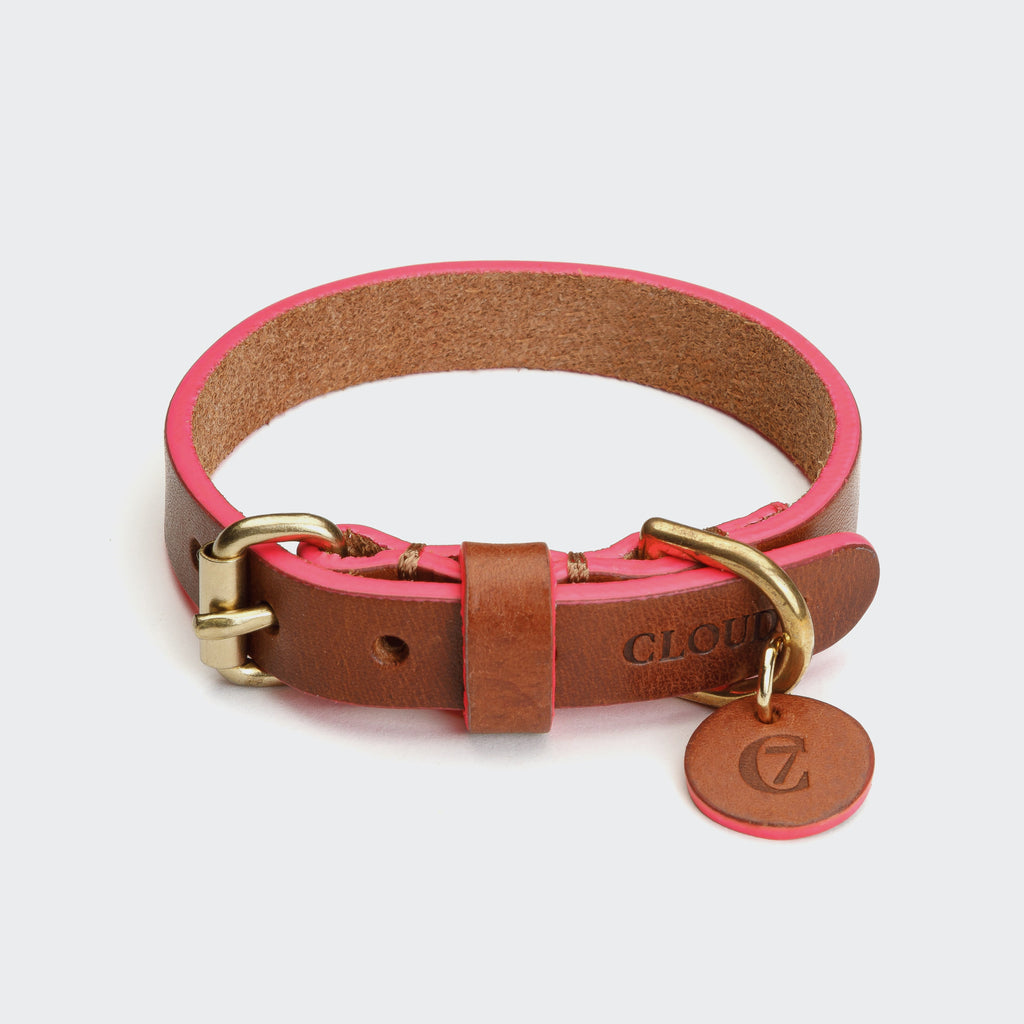 Prince Park Dog Collar - Cognac & Pink