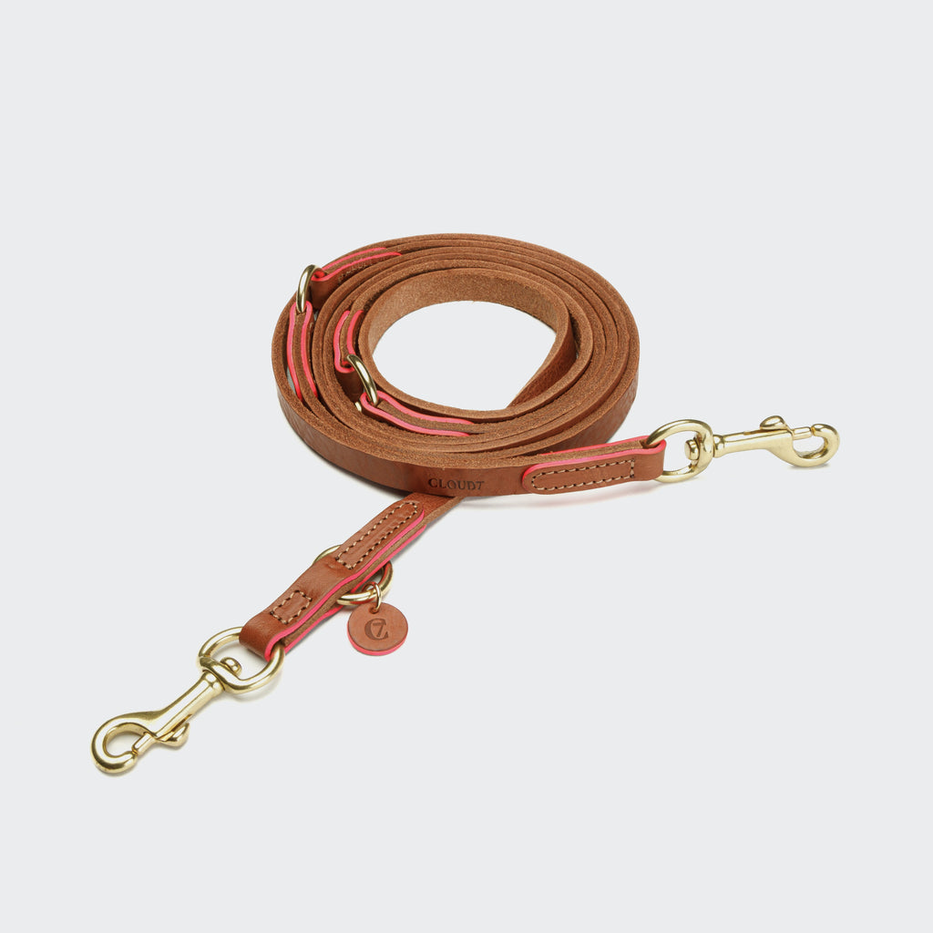 Prince Park Dog Leash – Cognac & Pink