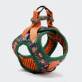 Holly Park Step-In Harness