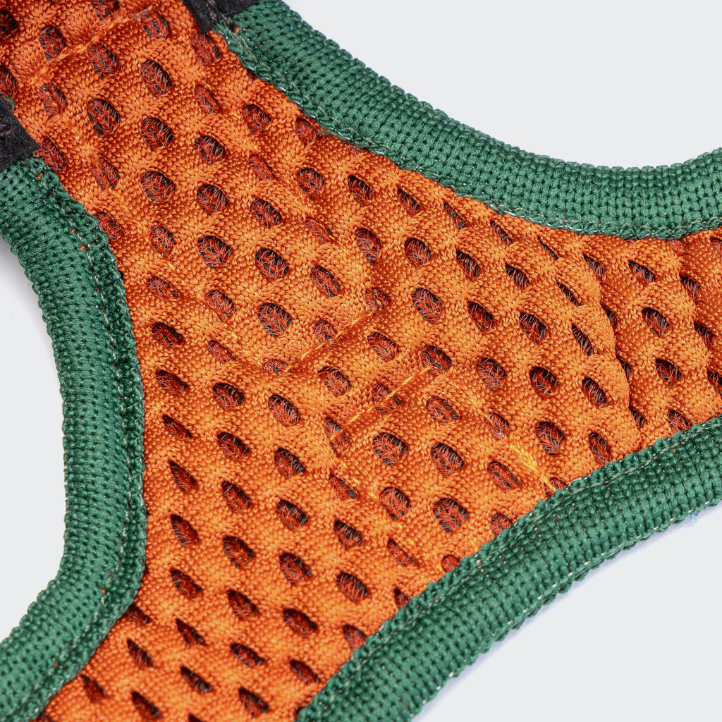 Holly Park Step-In Harness
