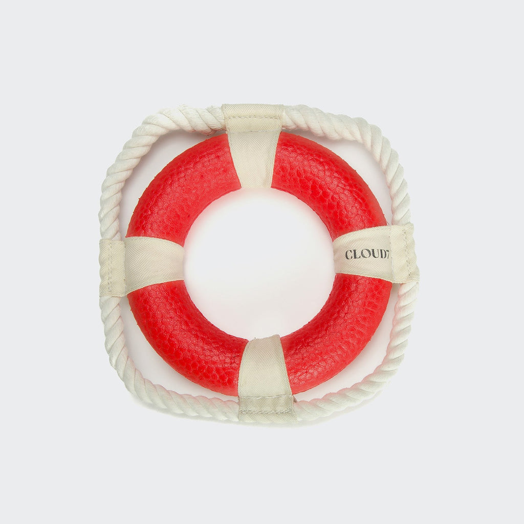 Lifebuoy Floaty Fetch Toy – Bright Pool Fun for Fetch Games