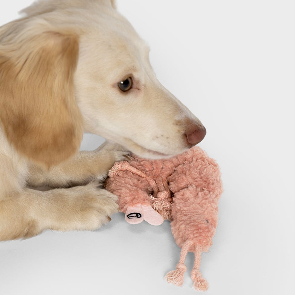 LTTL Shrimp Susi Dog Toy – Playful Shrimp-Shaped Toy