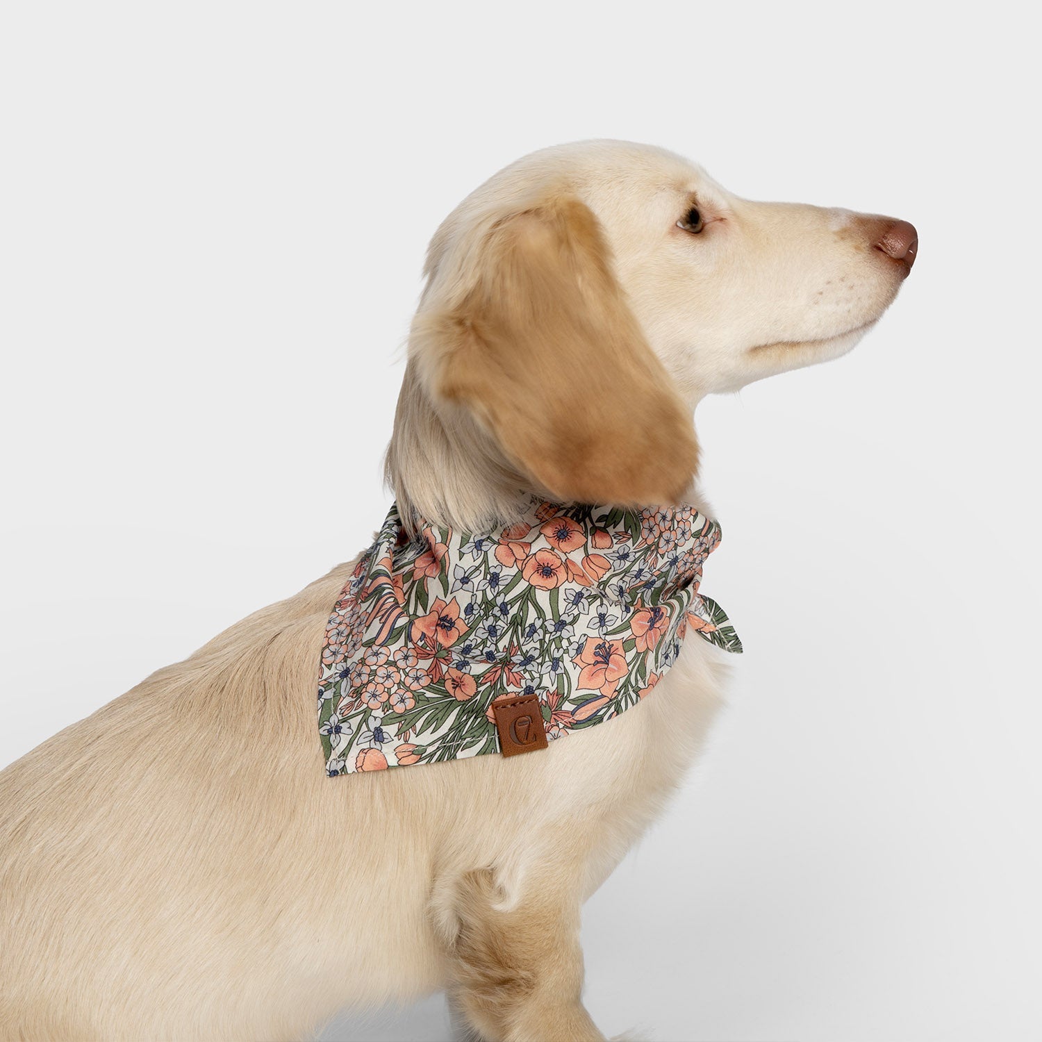 LTTL Blossoms Dog Bandana – Adorable Floral Accessory for Your Pup