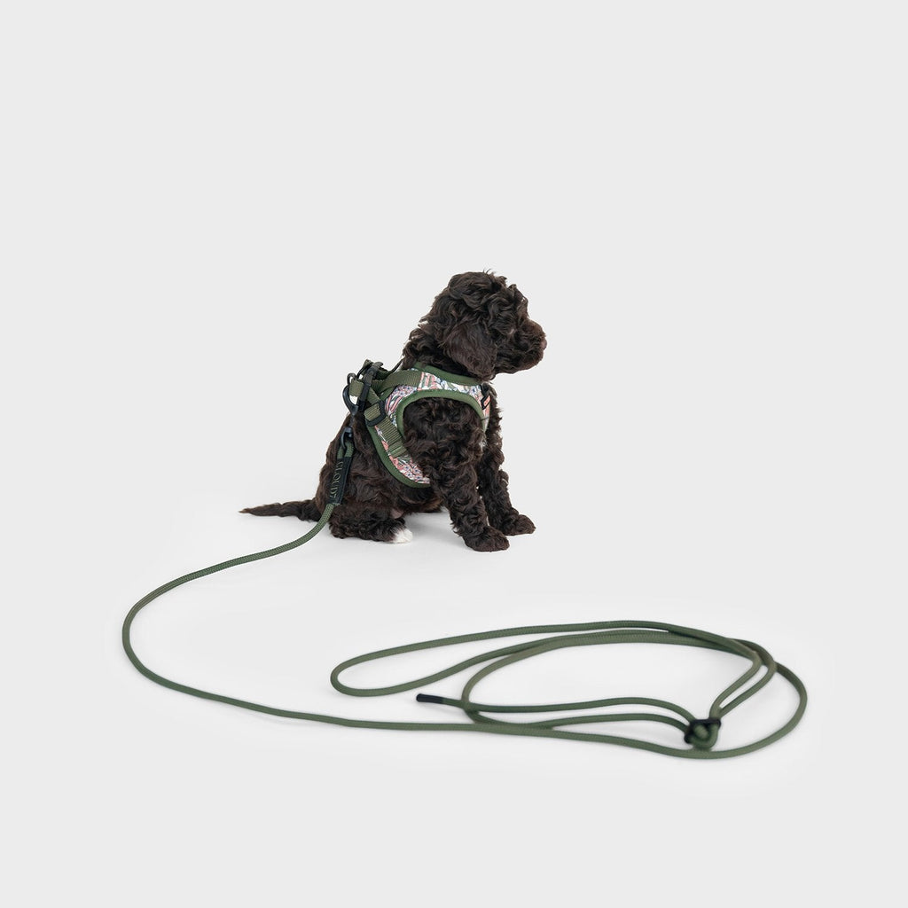 Step-In Harness – LTTL Blossoms Edition