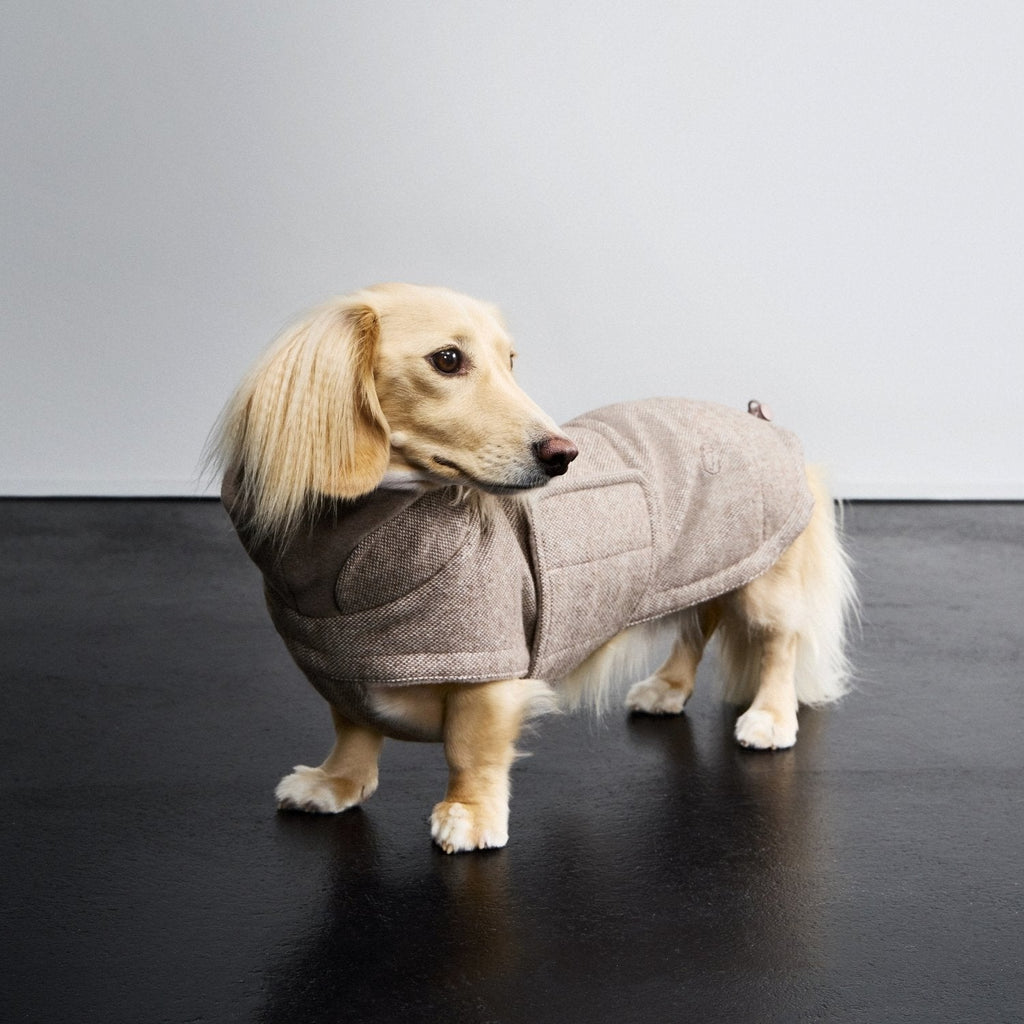 Beige Dachshund Coat by Brooklyn Tweed