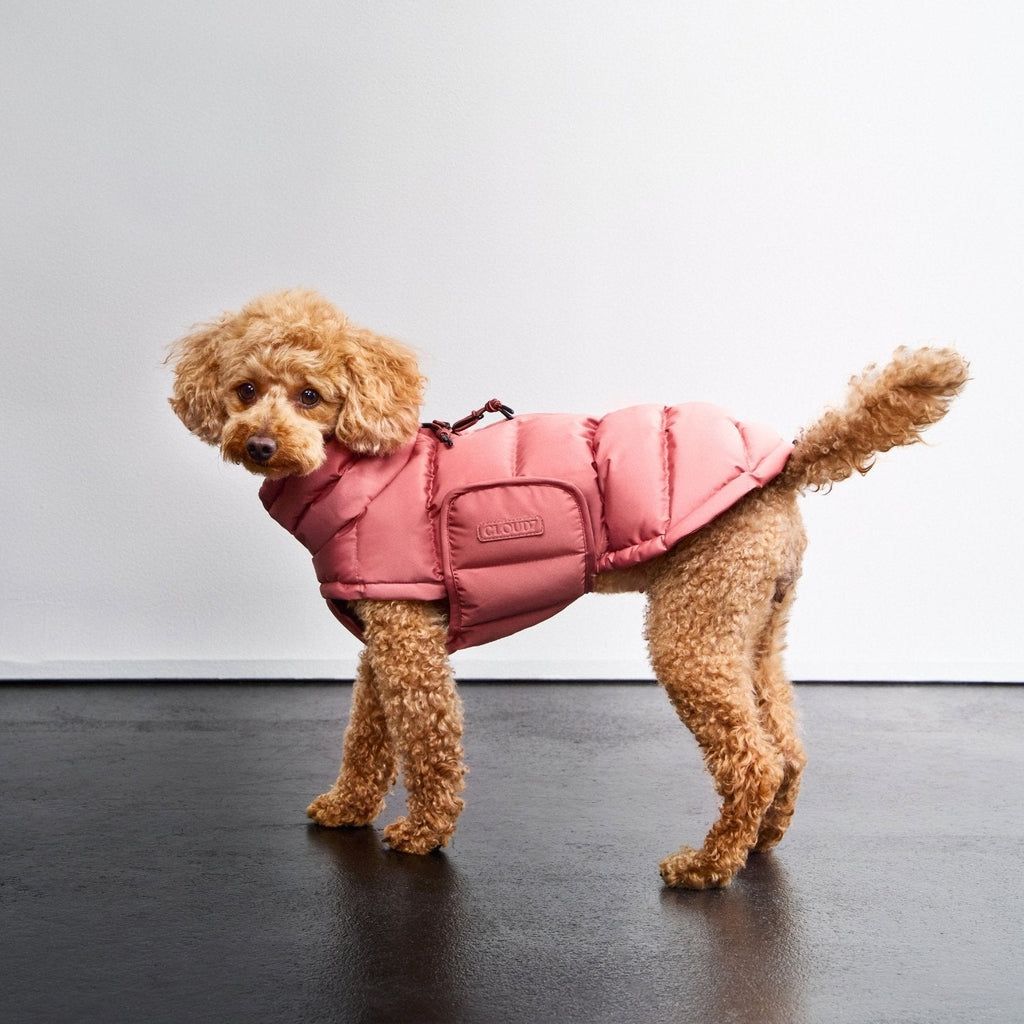 Alaska Faded Rose Dog Coat