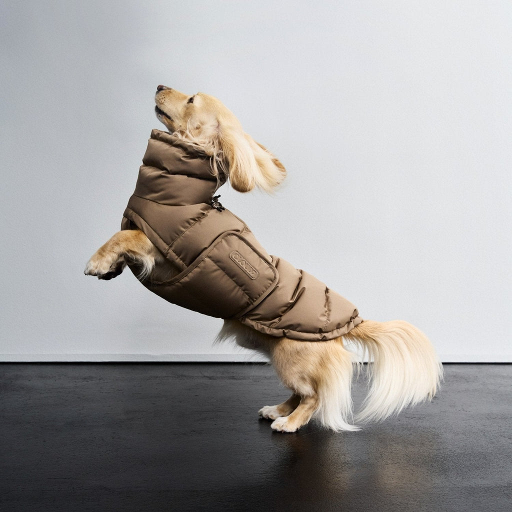 Cozy Dachshund Coat in Alaska Sandy Brown – Warm, Durable Winter Wear for Small Dogs