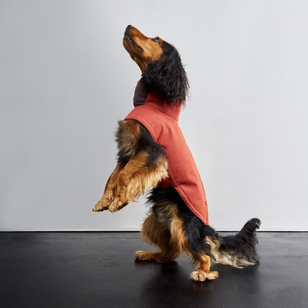 Brooklyn Rust Dog Coat – Cozy, Durable, Weatherproof Protection for Your Pup
