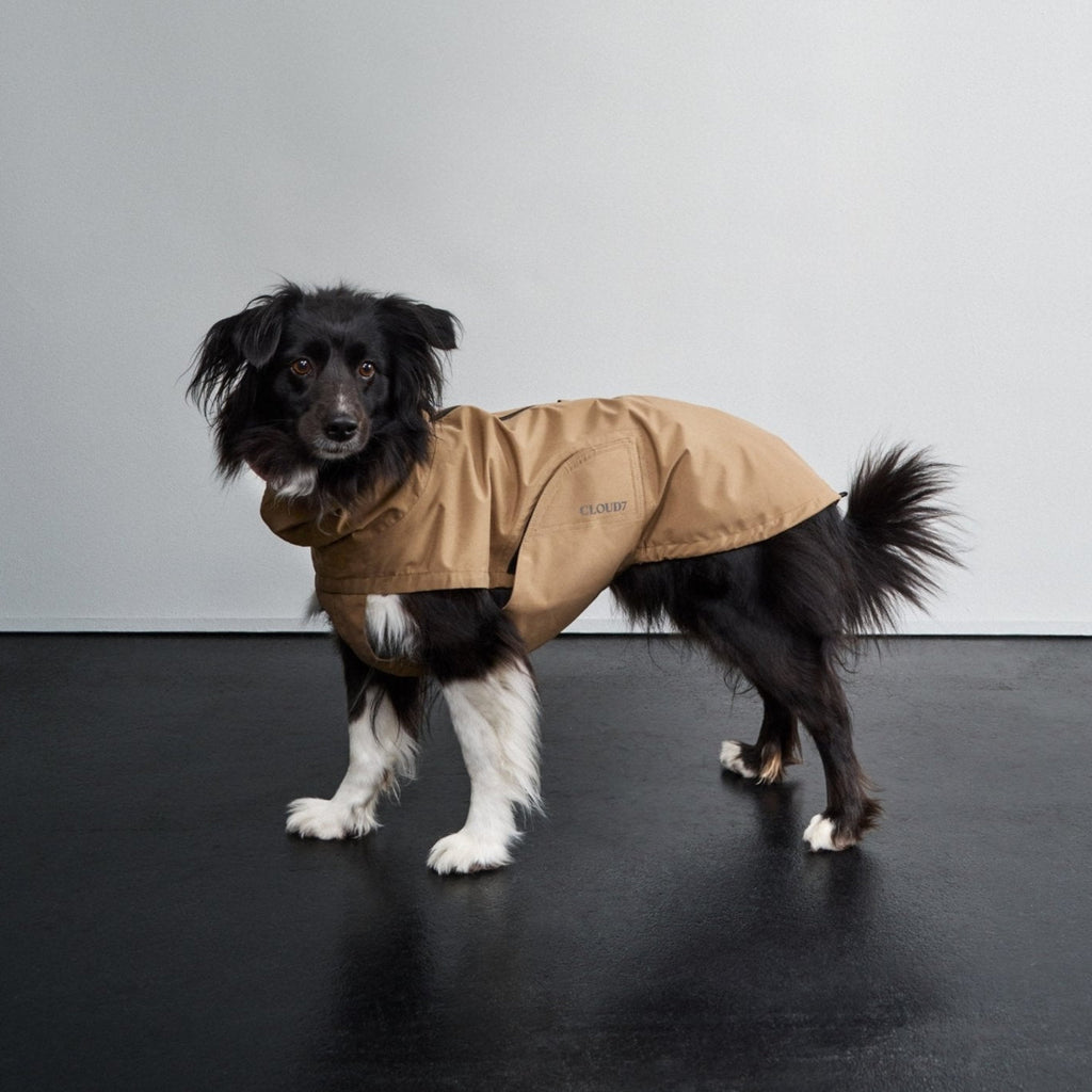 Dublin 2.0 Dog Raincoat in Sandy Brown