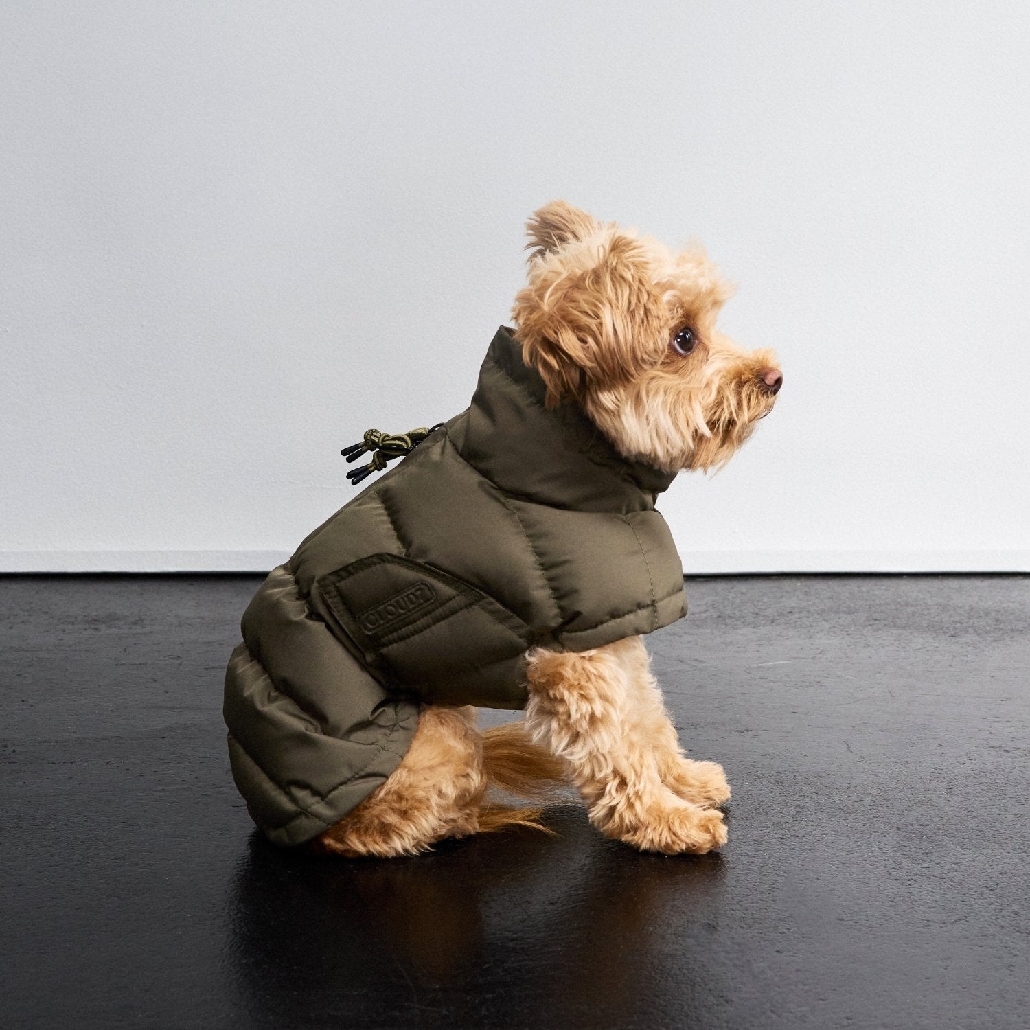 Everest Light Olive Dog Coat