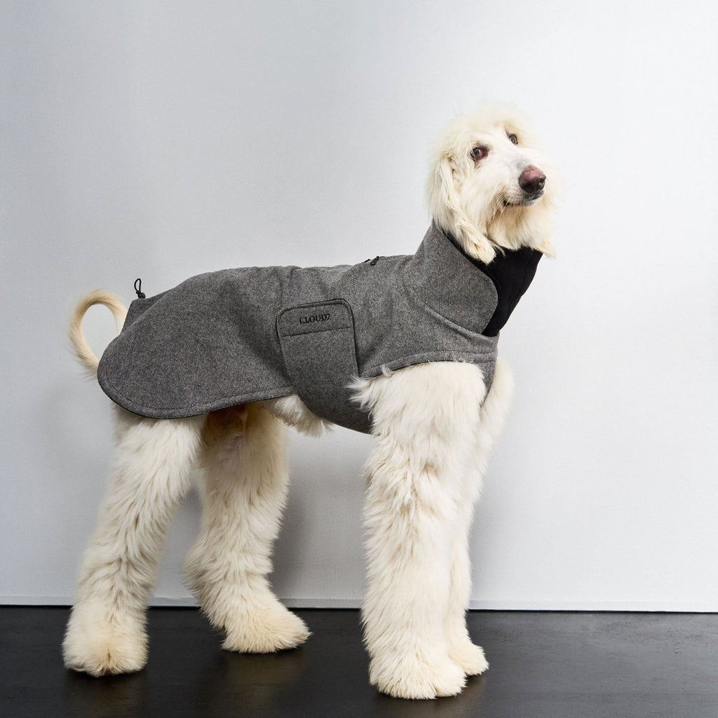 Brooklyn Long Tweed Coat for Sighthounds - Black