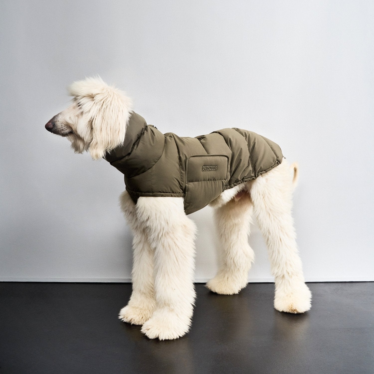 Alaska Winter Coat for Sighthounds