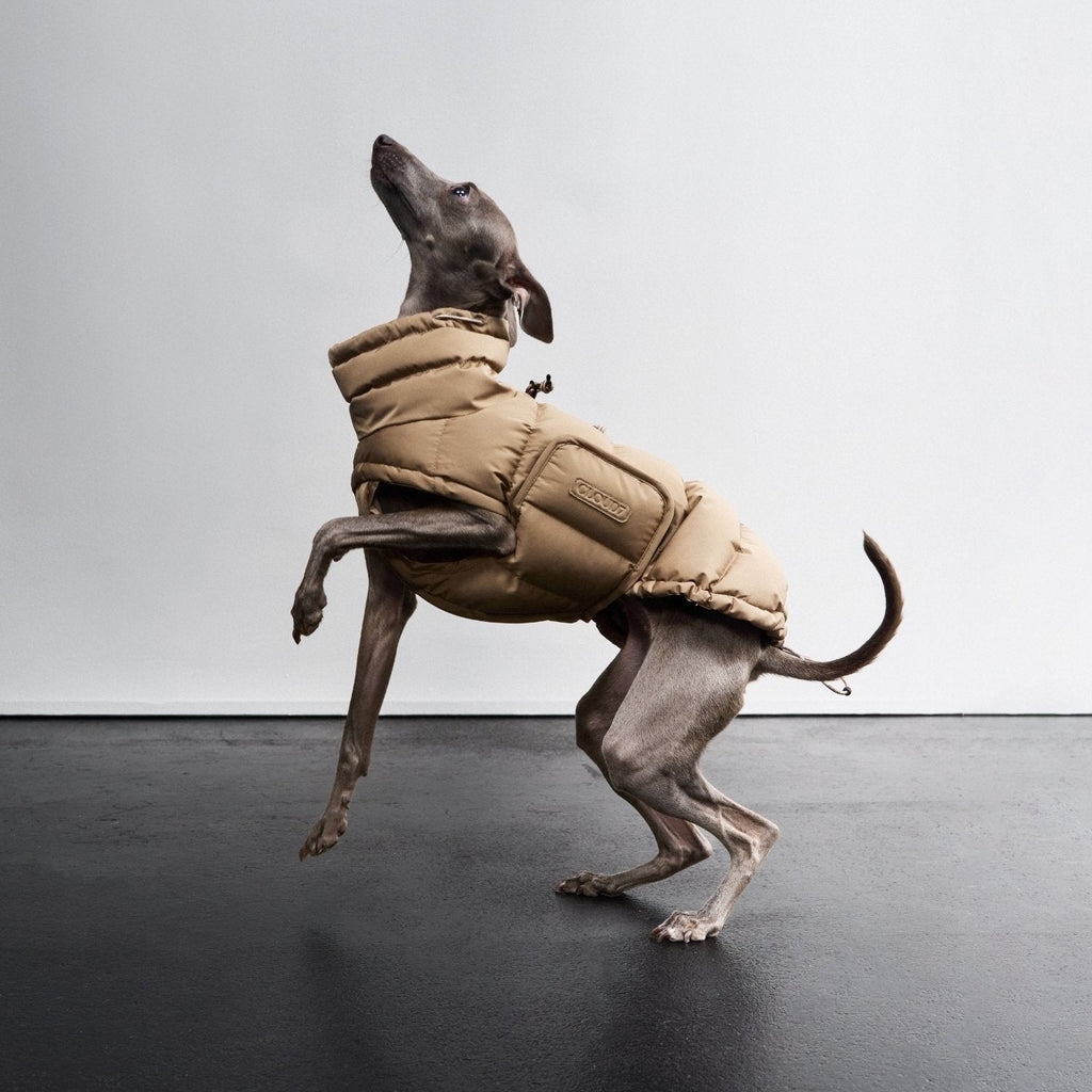 Alaska Dog Coat in Sandy Brown