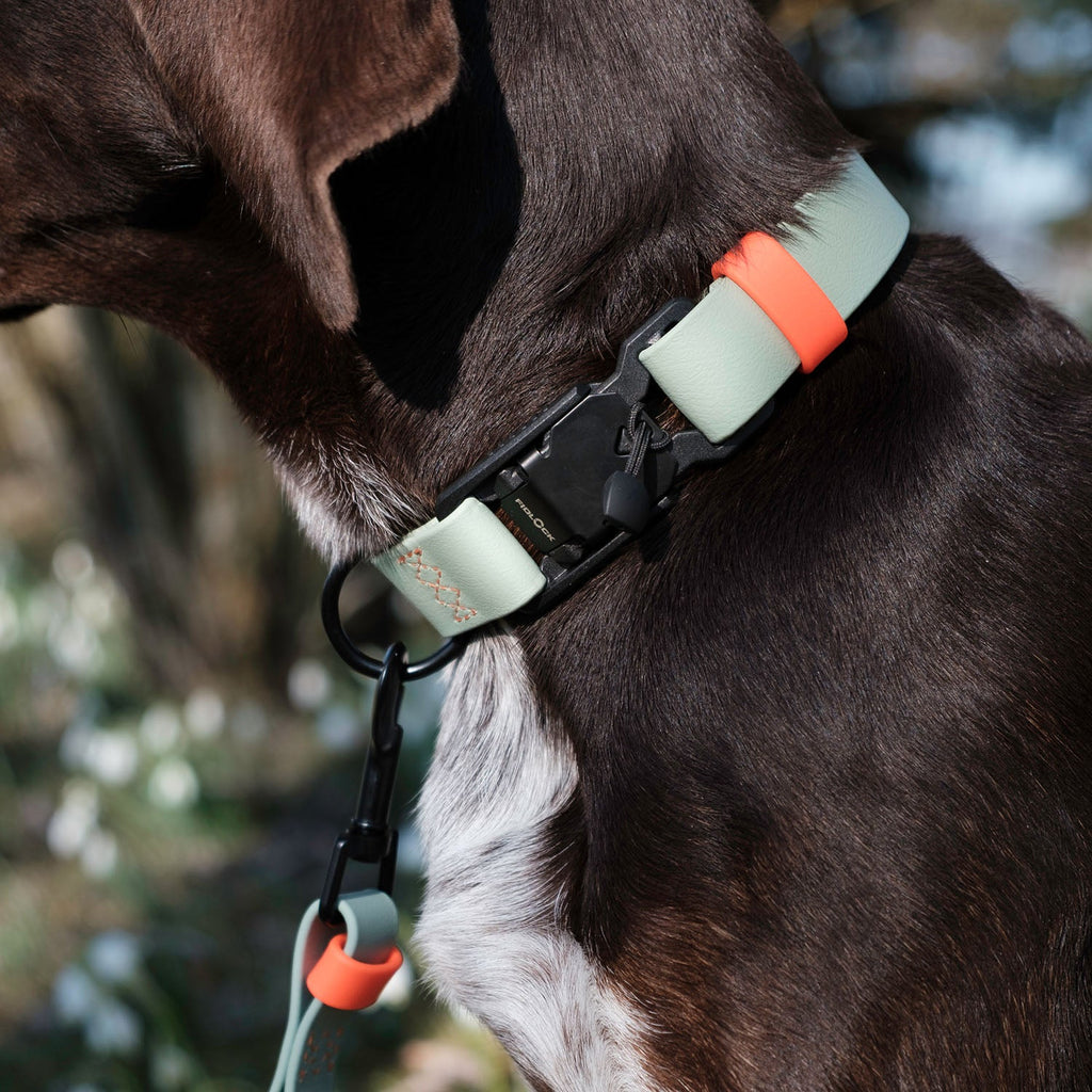 Ipanema BioThane Dog Collar – Mint & Neon Orange