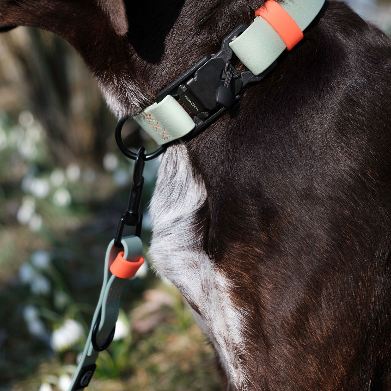 Adjustable BioThane Dog Leash - Ipanema Mint & Neon Orange