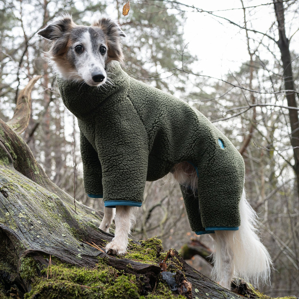 Cozy Olive Teddy Cornwall Sighthound Sweater
