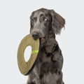 AKTIV Khaki Dog Frisbee Toy