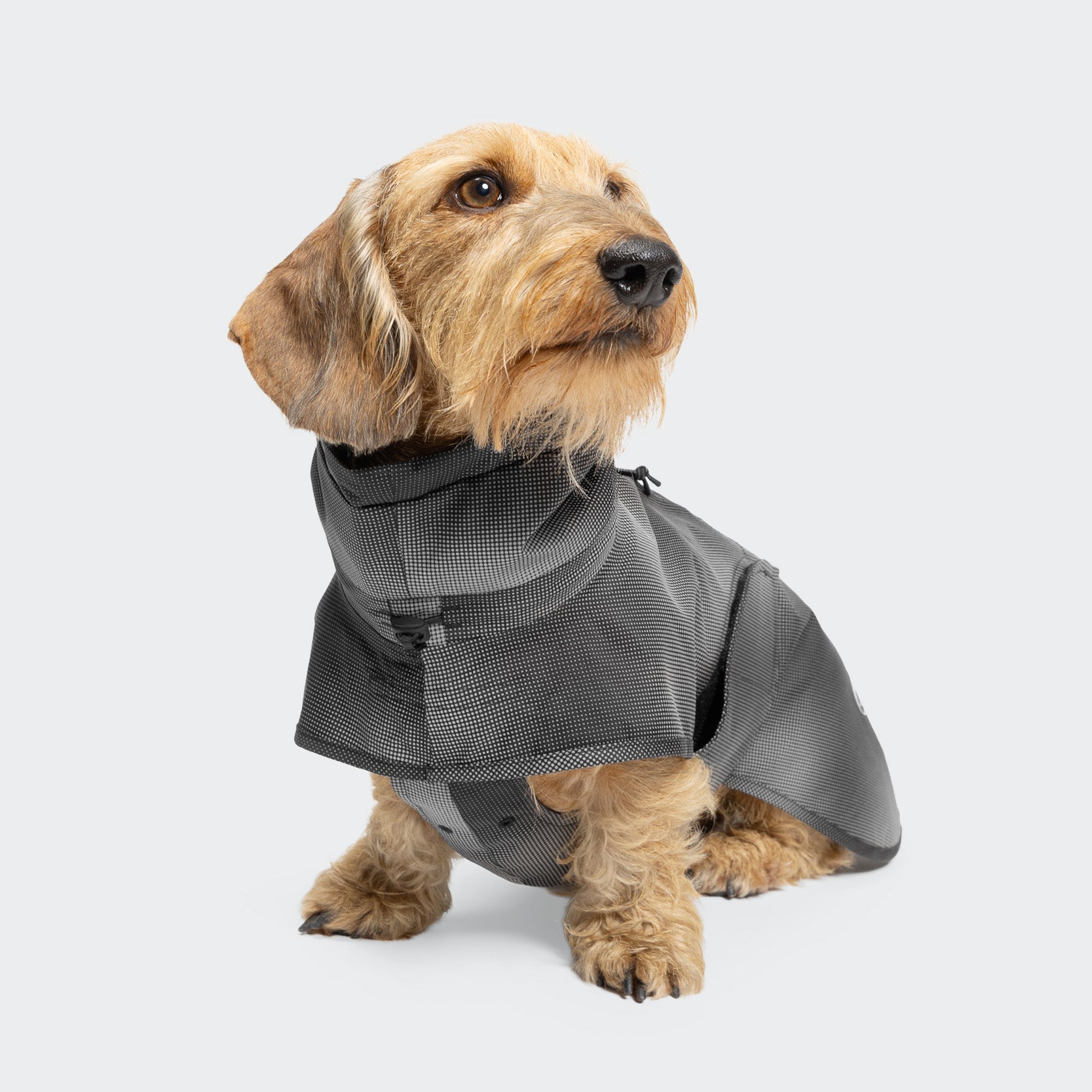 AKTIV Black Dachshund Raincoat – Weatherproof Coat for Dachshunds