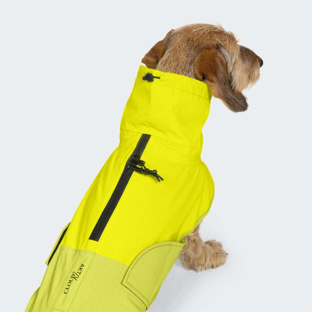 AKTIV Dachshund Raincoat – Neon Green & Light Olive, Waterproof Dog Coat