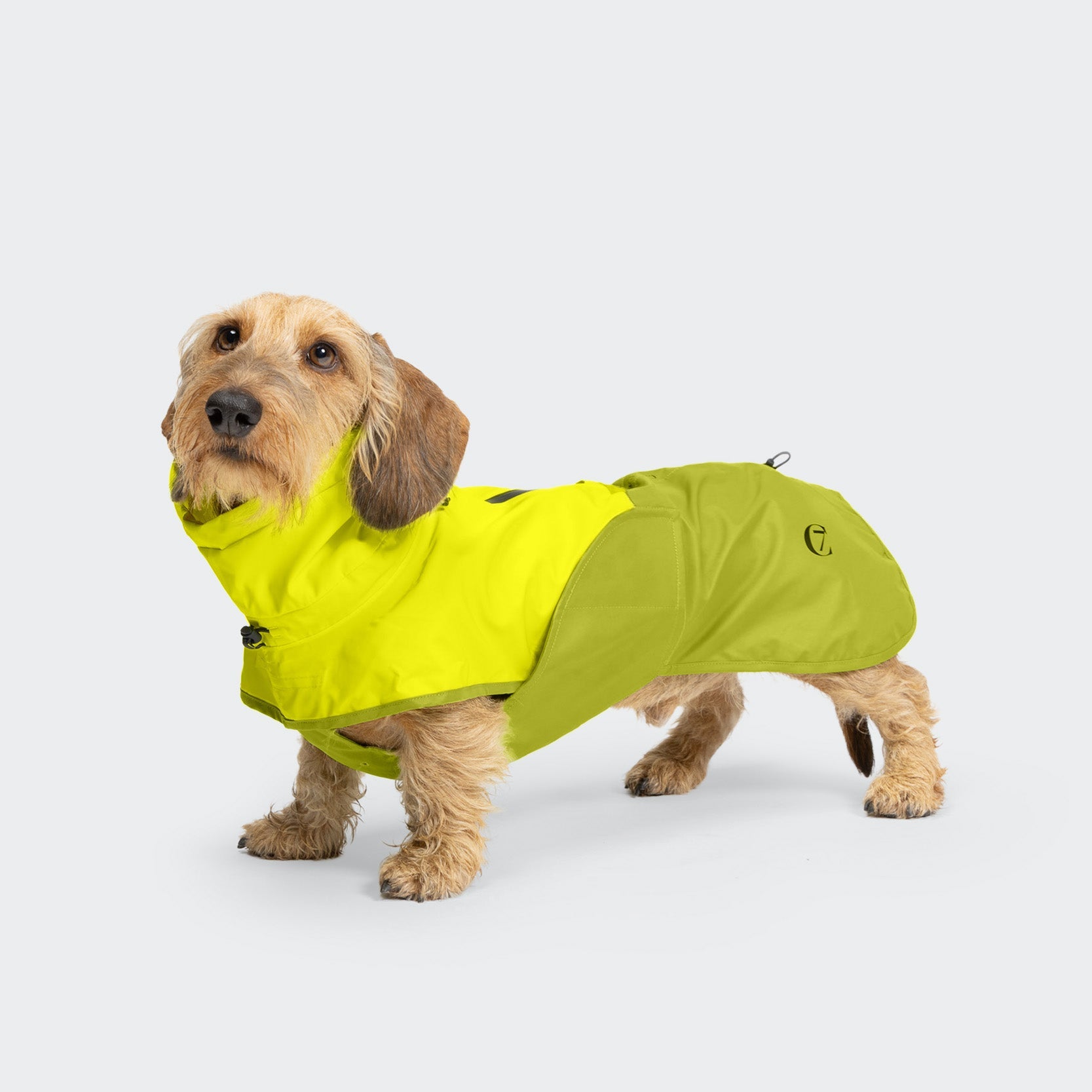 AKTIV Dachshund Raincoat – Neon Green & Light Olive, Waterproof Dog Coat