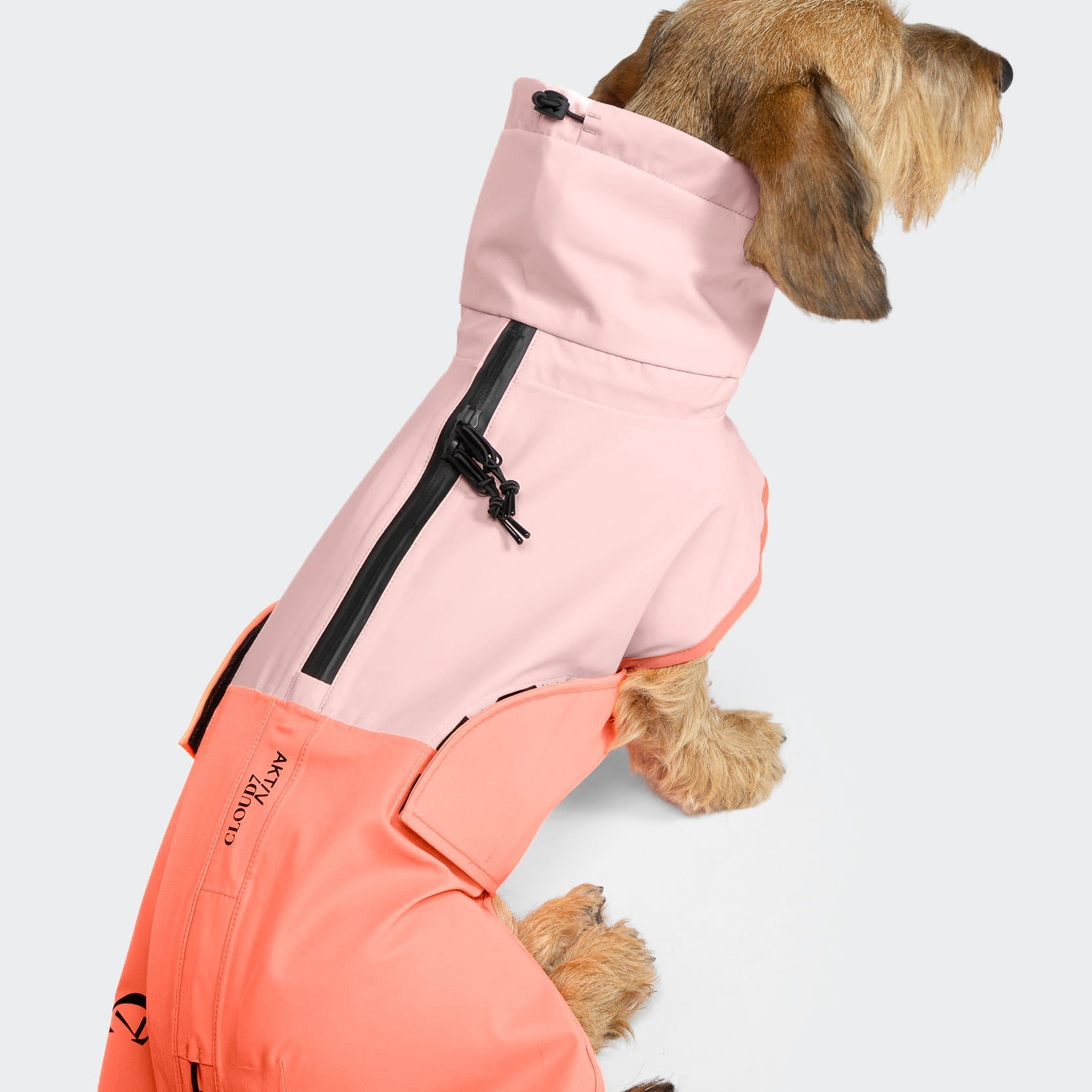 Dachshund Raincoat ACTIVE Peach/Neon Pink – Stylish, Waterproof Rain Jacket for Dachshunds