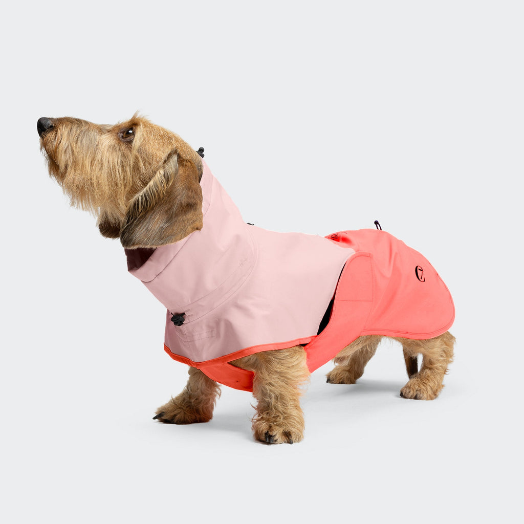 Dachshund Raincoat ACTIVE Peach/Neon Pink – Stylish, Waterproof Rain Jacket for Dachshunds