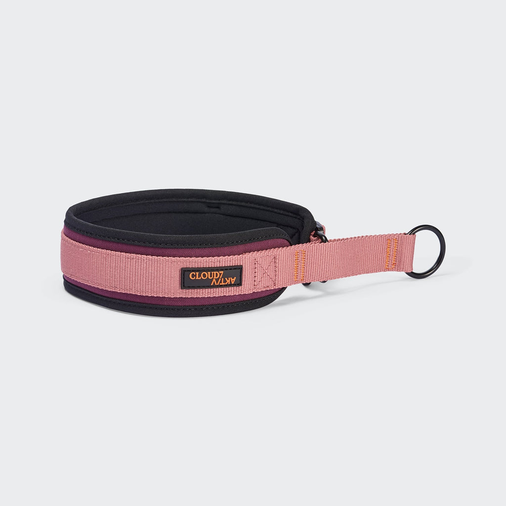 C-1 Martingale Collar – AKTIV Softshell in Aubergine/Soft Rose