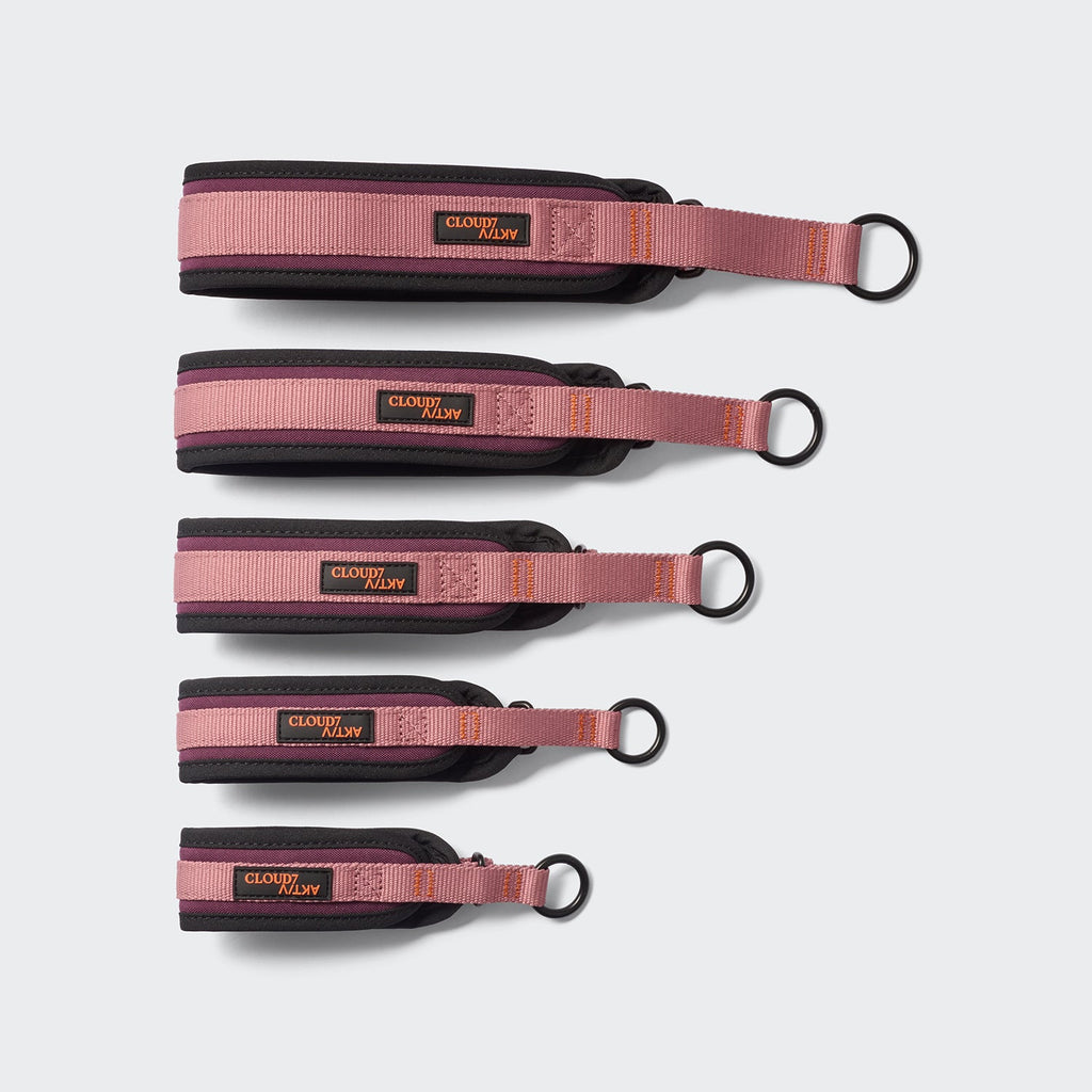 C-1 Martingale Collar – AKTIV Softshell in Aubergine/Soft Rose