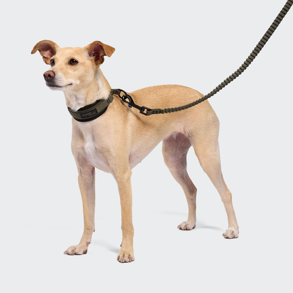 C-1 Martingale Collar - AKTIV Softshell Olive, Durable Comfort for Dogs
