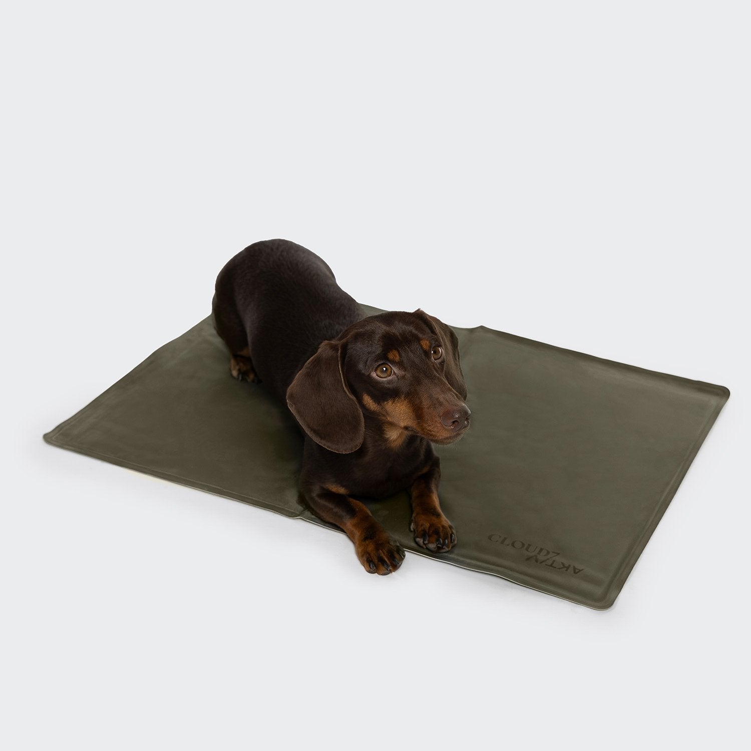 AKTIV Dog Cooling Mat in Dark Olive – Stay Cool and Comfortable