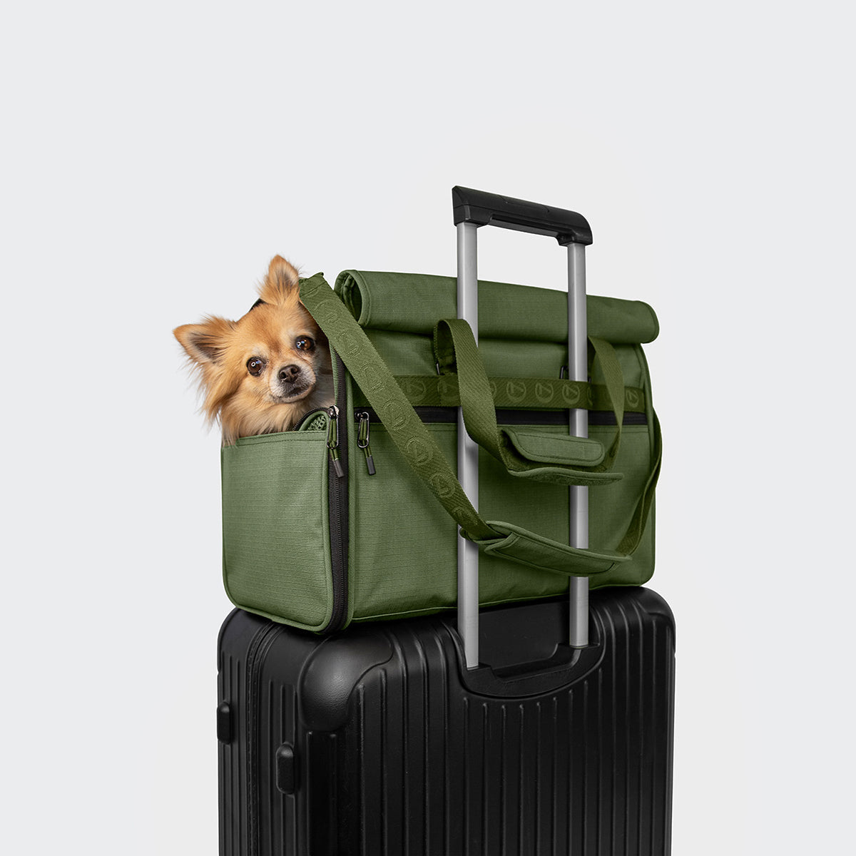AKTIV Olive Flight Carrier – Lightweight, Comfortable Travel Carrier for Pets