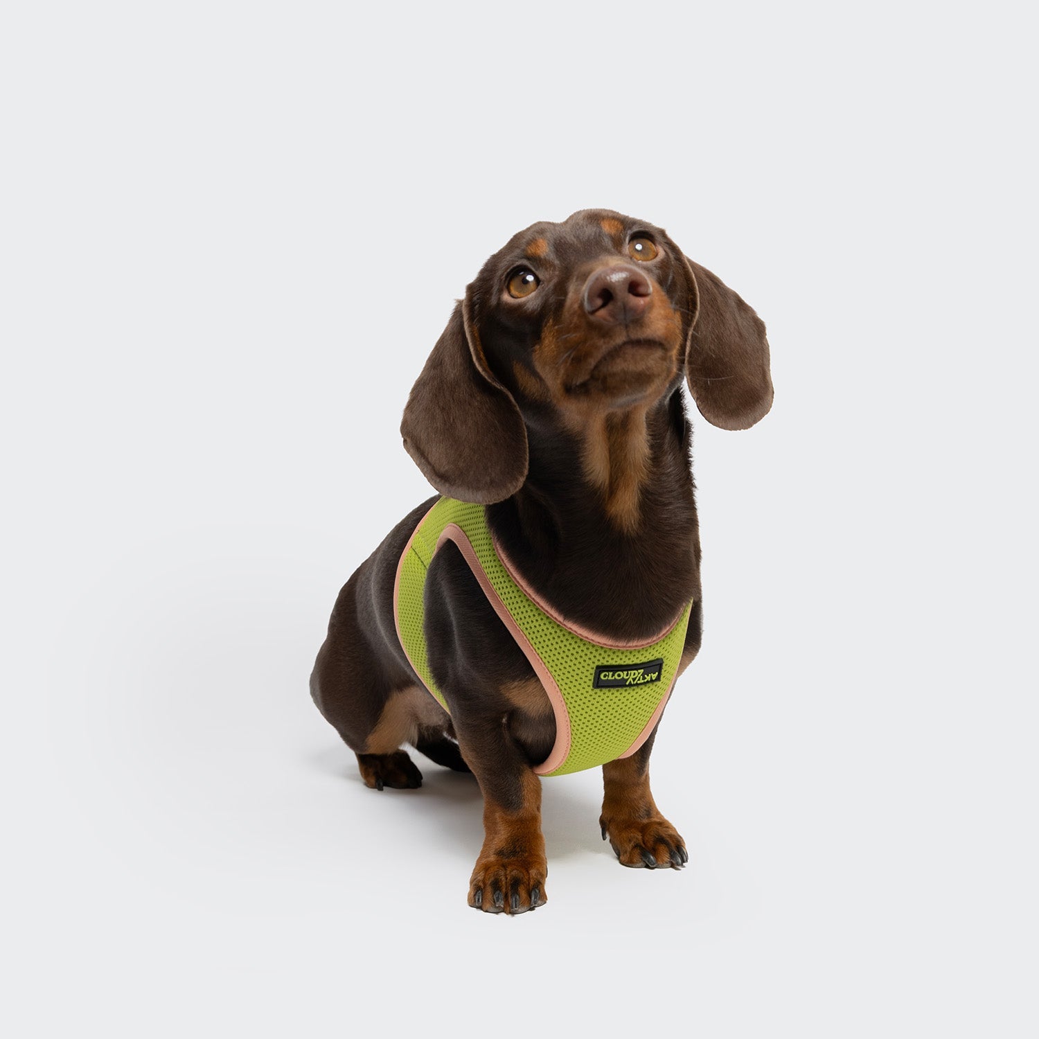 V-1 Vest Harness with AKTIV Air-Mesh in Peach and Neon Green