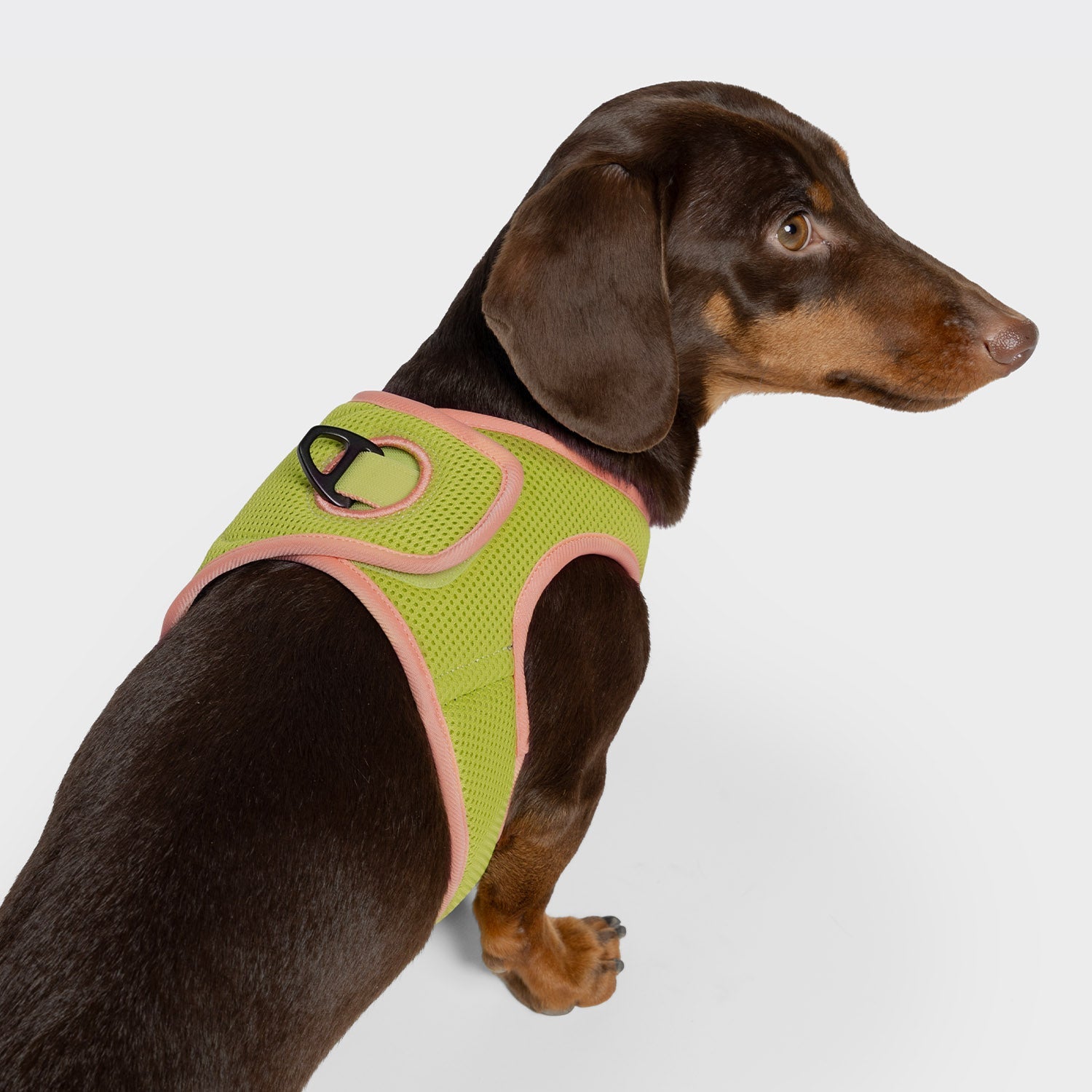 V-1 Vest Harness with AKTIV Air-Mesh in Peach and Neon Green