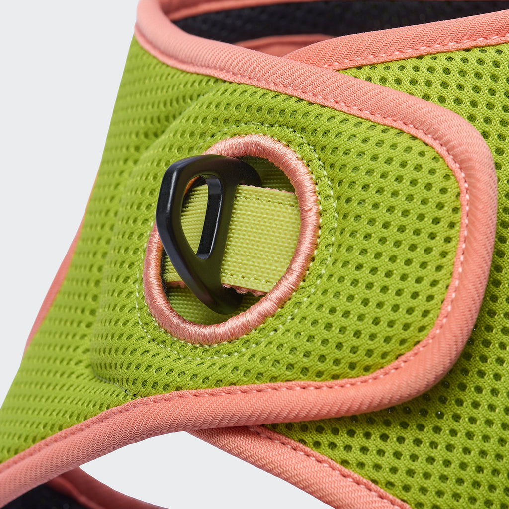 V-1 Vest Harness with AKTIV Air-Mesh in Peach and Neon Green