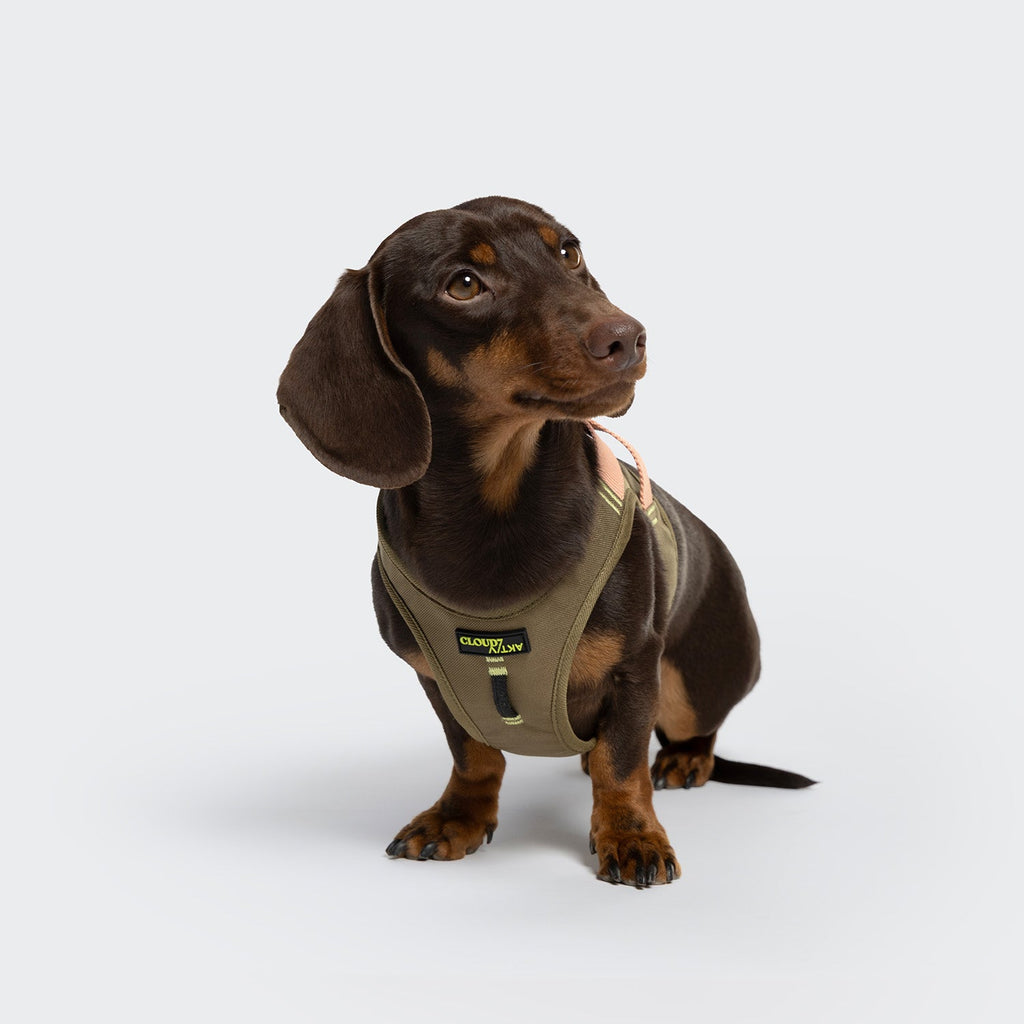 V-2 Vest Harness AKTIV Cordura Khaki/Peach – Rugged, Durable Vest Harness for Outdoor Use