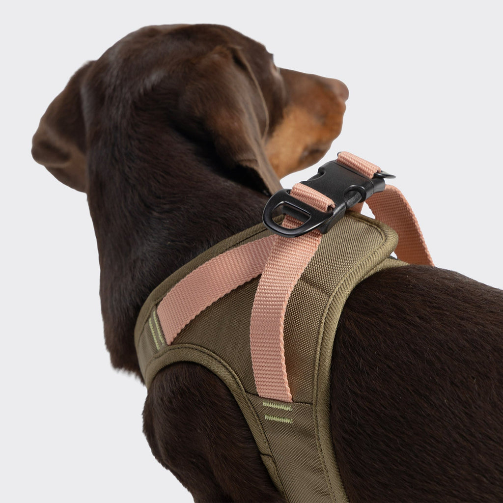 V-2 Vest Harness AKTIV Cordura Khaki/Peach – Rugged, Durable Vest Harness for Outdoor Use