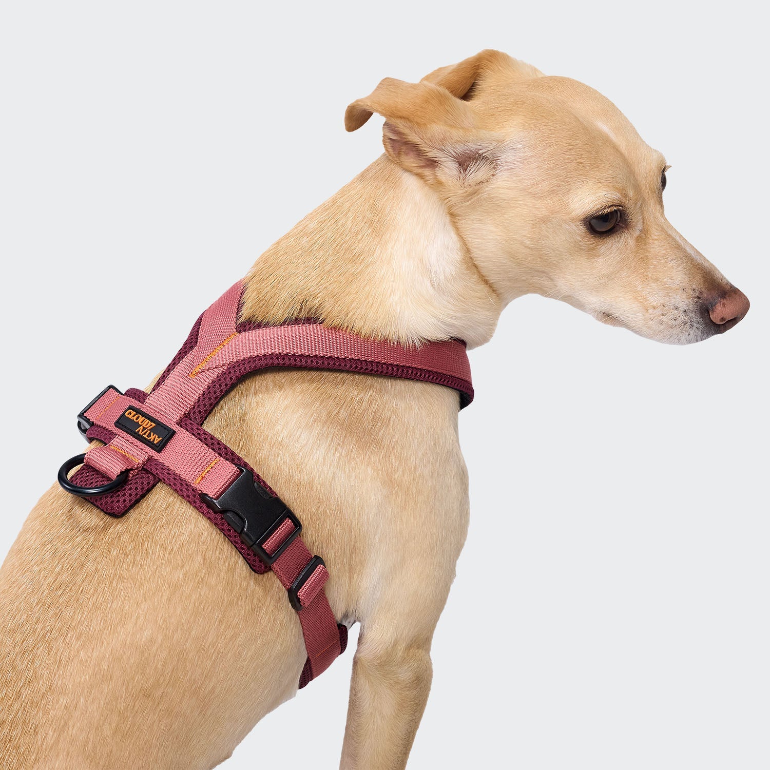 Y-1 Harness AKTIV Air-Mesh in Aubergine/Soft Rose