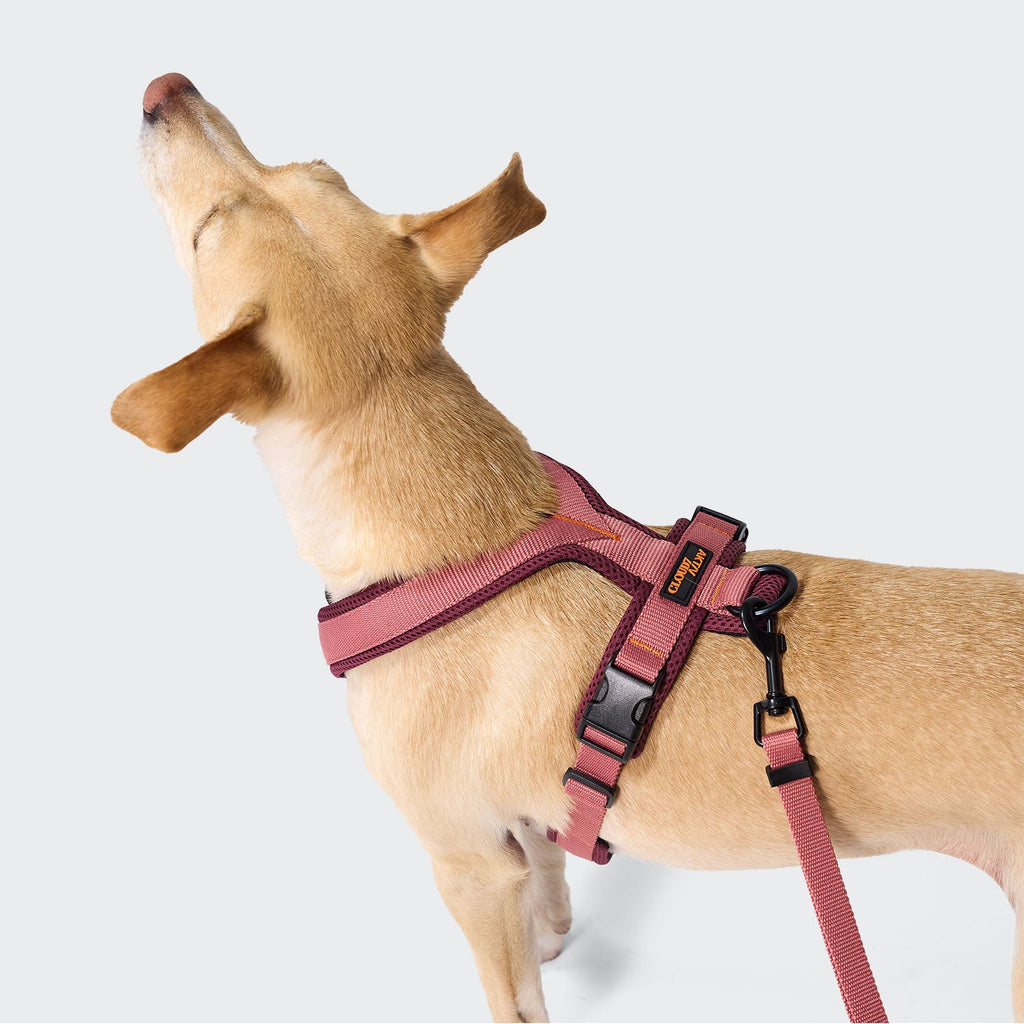 Y-1 Harness AKTIV Air-Mesh in Aubergine/Soft Rose
