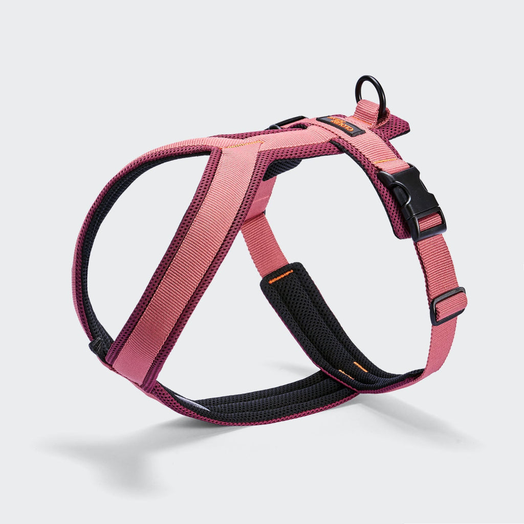 Y-1 Harness AKTIV Air-Mesh in Aubergine/Soft Rose