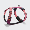 Y-2 Harness ACTIVE – Eggplant & Soft Rose